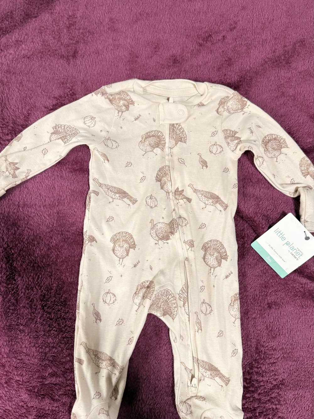Carter's Cream One-Piece with Brown Turkey Print